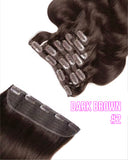 Natural Clip-in Hair Extensions